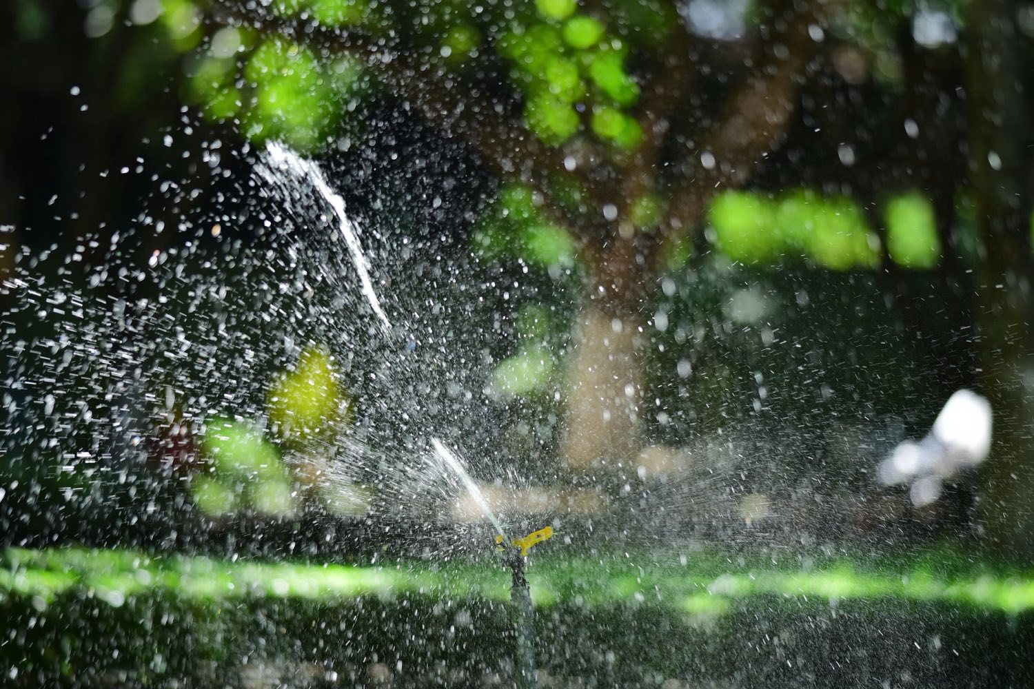 Lawn sprinkler throwing water in bright sunlight